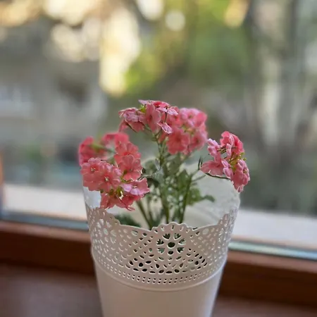 Pick! Spacious 2 Bedroom Appartement Sofia